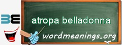 WordMeaning blackboard for atropa belladonna